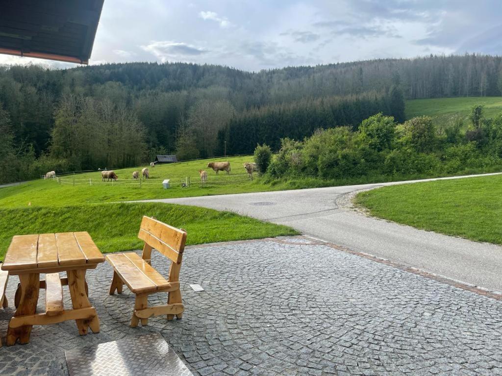 Ferienwohnung ,Hoizmann' Pinsdorf Экстерьер фото